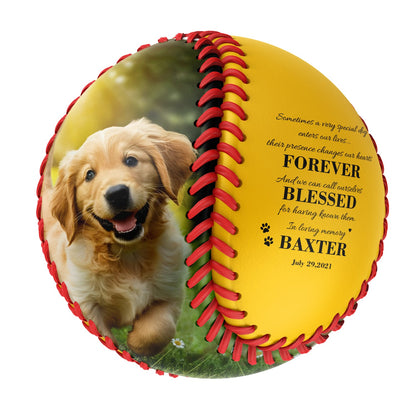 Personalized Yellow Dog Pet Memorial Photo Baseballs