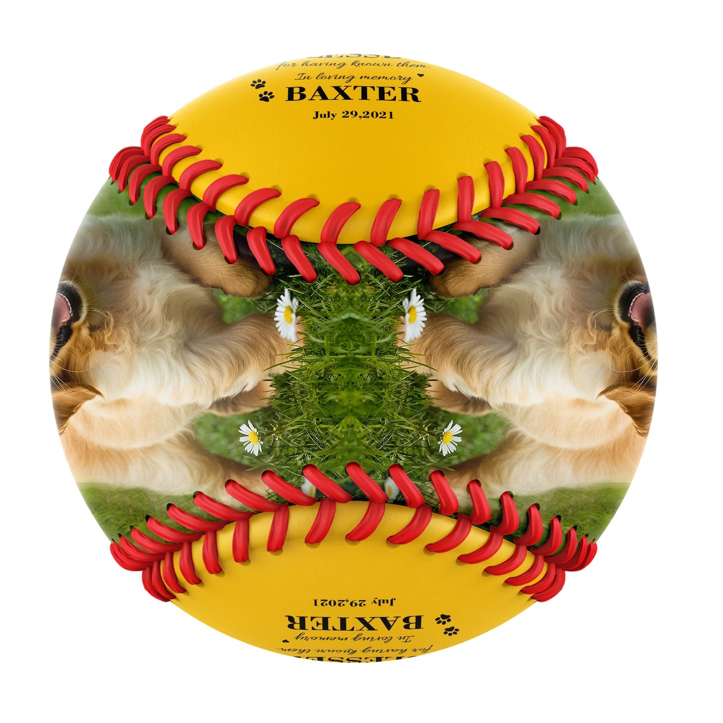 Personalized Yellow Dog Pet Memorial Photo Baseballs