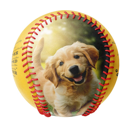 Personalized Yellow Dog Pet Memorial Photo Baseballs