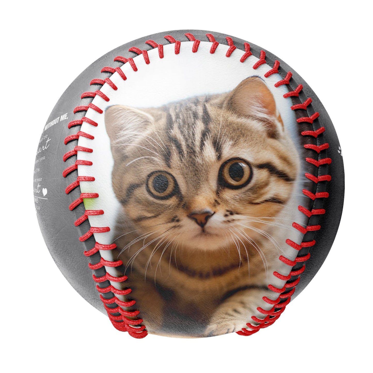 Personalized Dark Grey Cat Pet Memorial Photo Baseballs