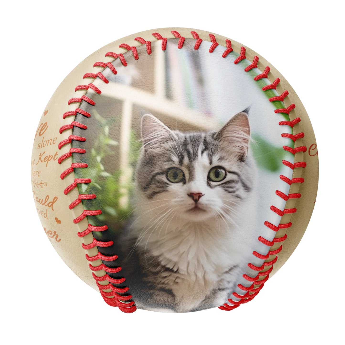 Personalized White Cat Pet Memorial Photo Baseballs