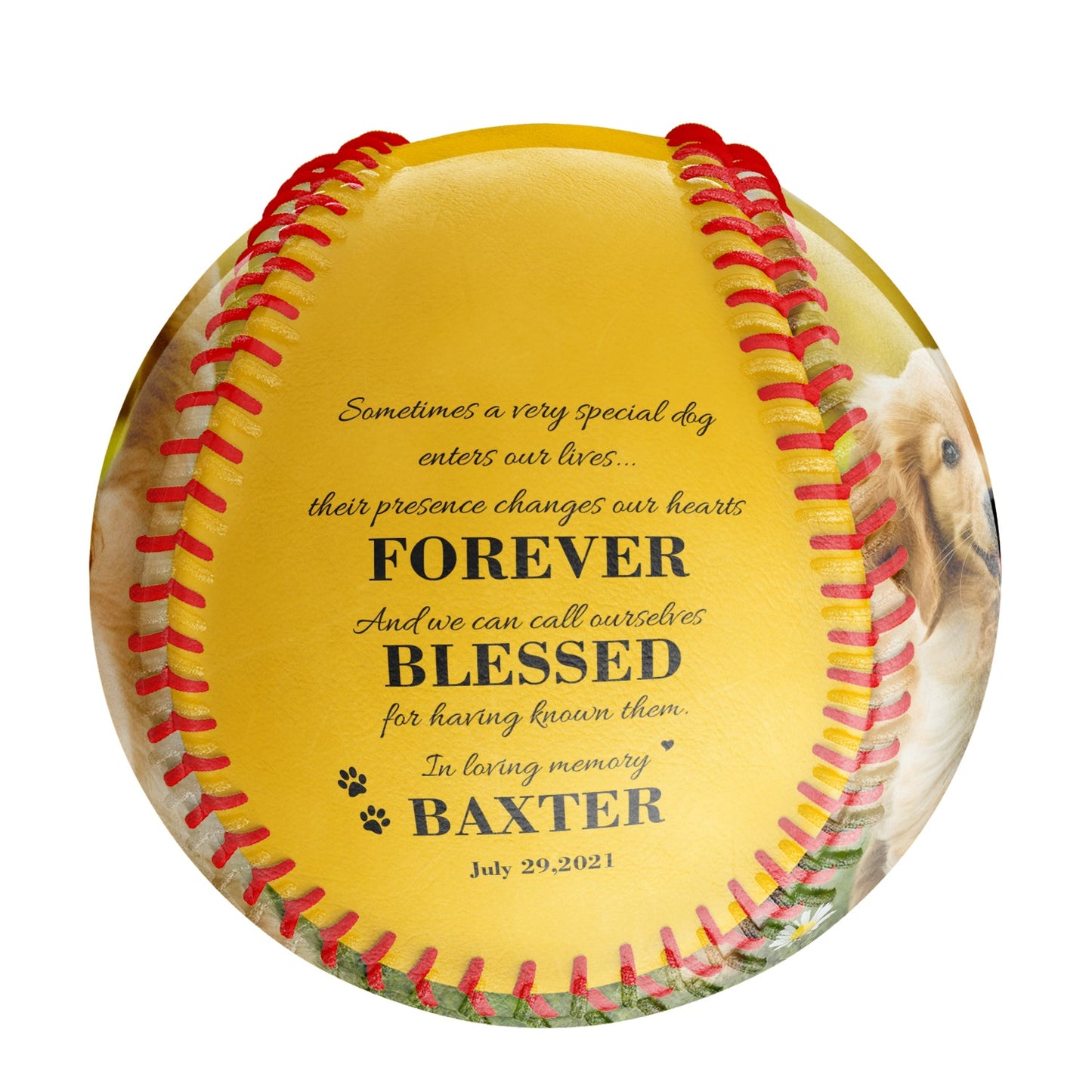 Personalized Yellow Dog Pet Memorial Photo Baseballs