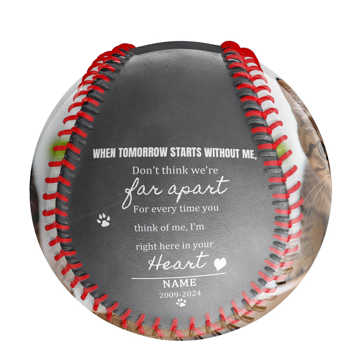 Personalized Dark Grey Cat Pet Memorial Photo Baseballs