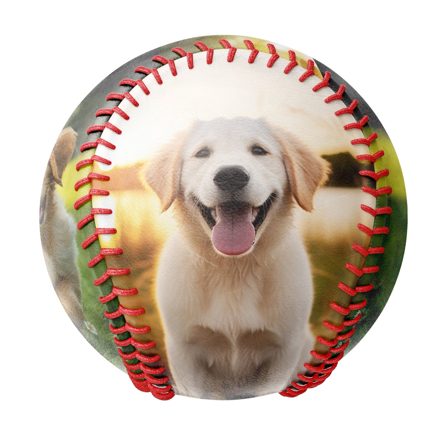 Personalized 2 Pet Dog Photo Baseballs