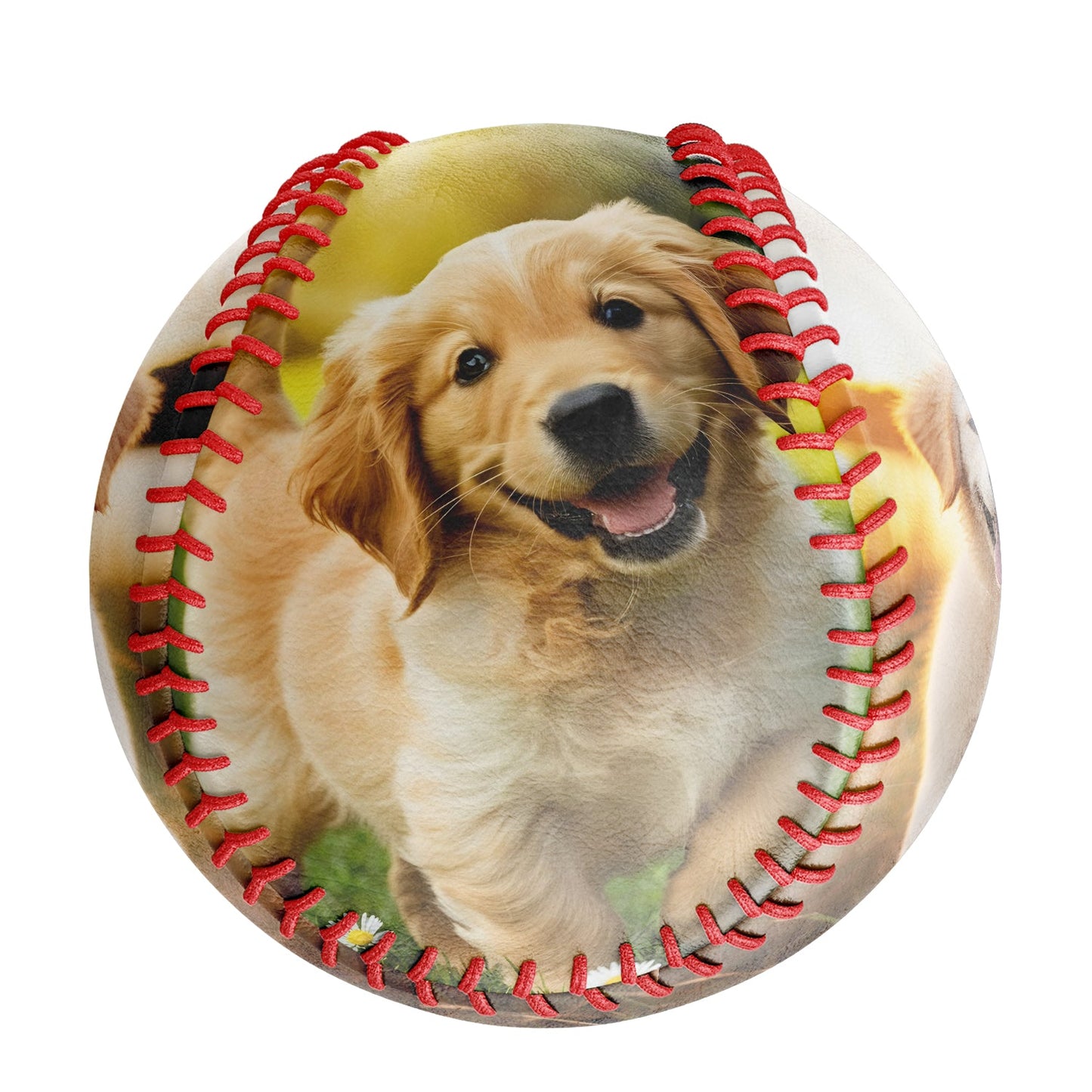 Personalized 2 Pet Dog Photo Baseballs